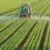 A crop sprayer sprays a large vegetable field.
