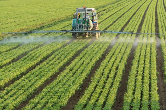 A crop sprayer sprays a large vegetable field.