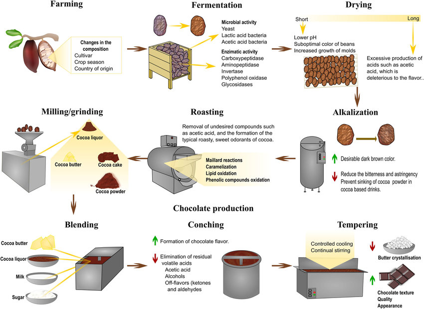 Flow Chart Of Chocolate Manufacturing Process Learn Diagram | My XXX ...