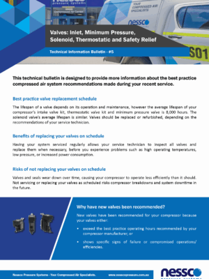 Technical-Bulletin-Compressor-Valves-Nessco-Pressure Technical bulletin including facts about various compressor valves from Nessco Pressure in Perth.